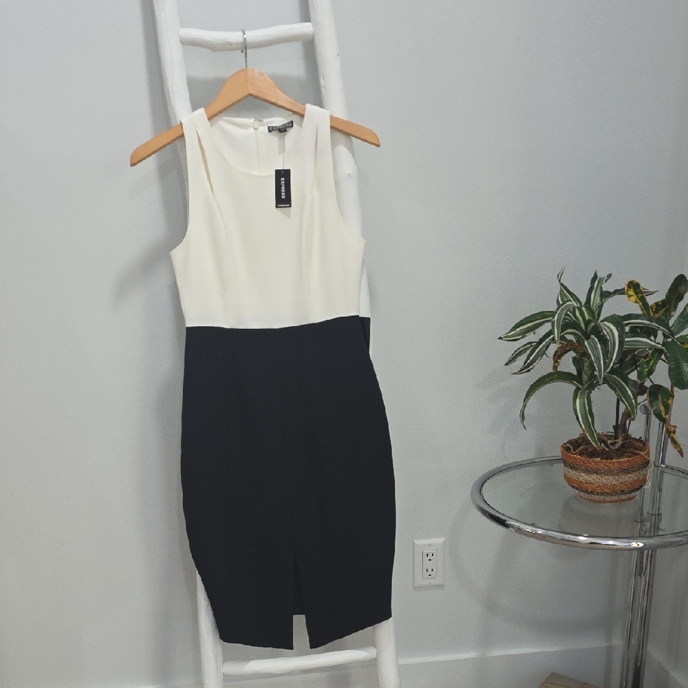 Elegant Black and White Sleeveless Flaterring Trim Linned Dress